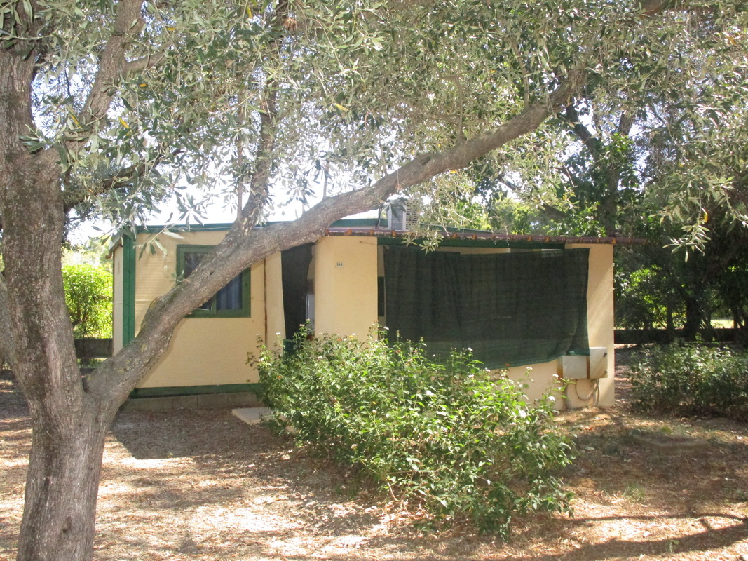camping fisse