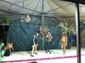 foto_024