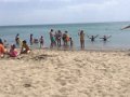 foto_051